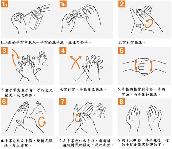 乾洗手液之洗手技術，如下說明