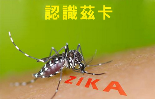 茲卡病毒感染症專區