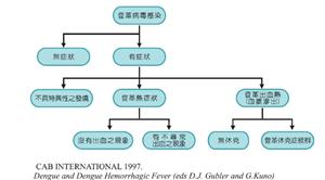 登革熱發病症狀