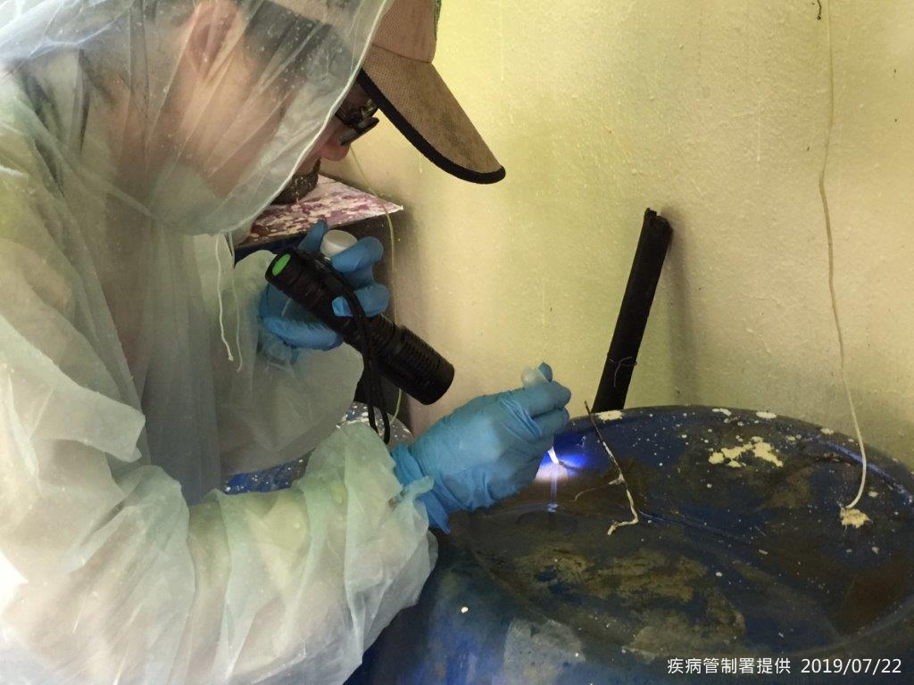 圖-疾管署防疫人員於台南市東區執行病媒孳生源查核