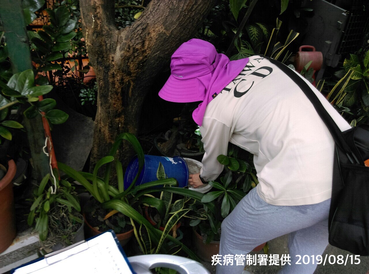 圖-疾管署防疫人員於台南市東區泉南里執行孳生源查核