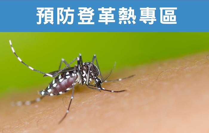 預防登革熱、小黑蚊暨防蚊叮咬、屈公病 、毛毛蟲、不明昆蟲、跳