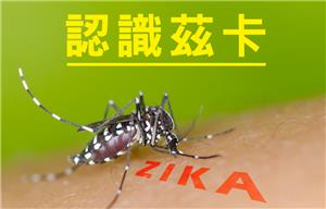 國內出現今年首例境外移入茲卡病毒感染個案，民眾前往流行地區應做好防護措施，返國後落實「1+6原則」並加強防蚊