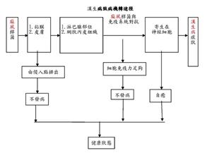 漢生病治病機轉途徑 漢生病治病機轉途徑